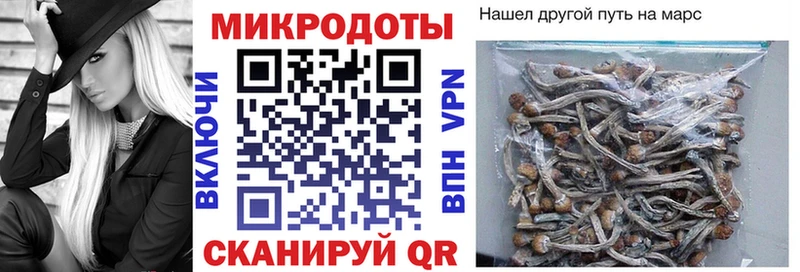 Псилоцибиновые грибы Cubensis  Карабаш 